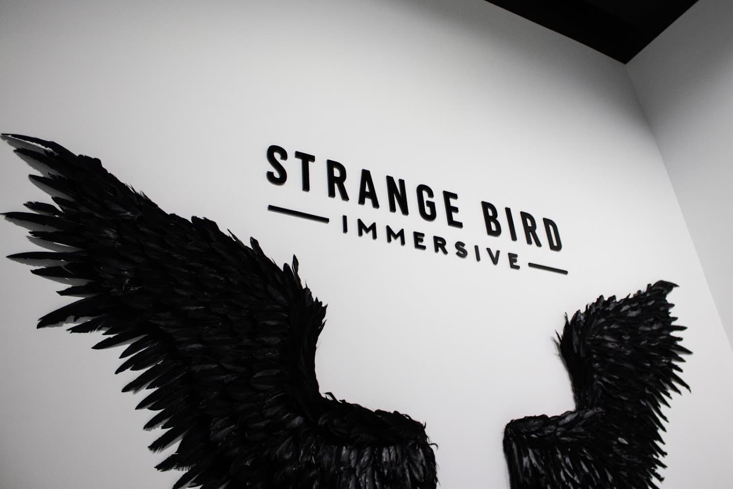 Google street view image of Strange Bird Immersive Escape Rooms